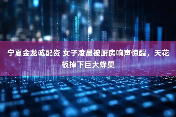 宁夏金龙诚配资 女子凌晨被厨房响声惊醒，天花板掉下巨大蜂巢